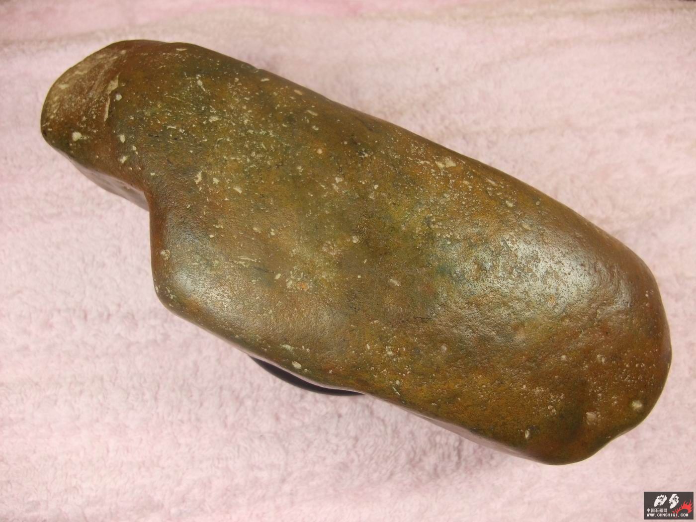 DSCF5915.JPG