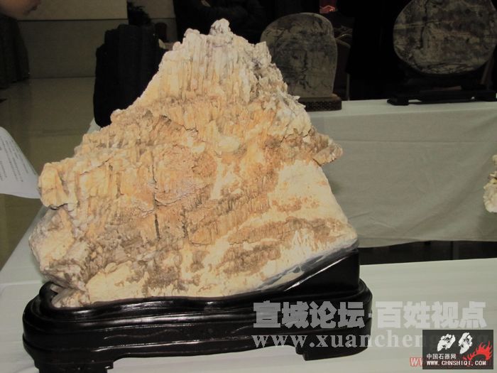 图片 001.jpg