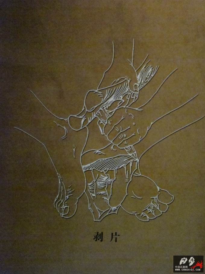 DSC05000.jpg