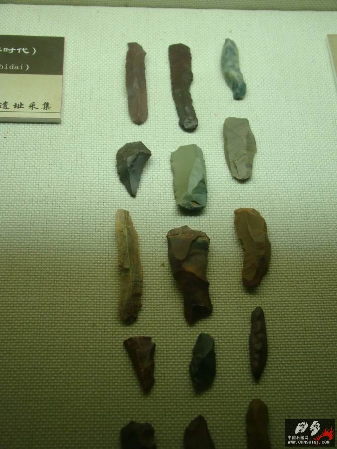 DSC04903.jpg