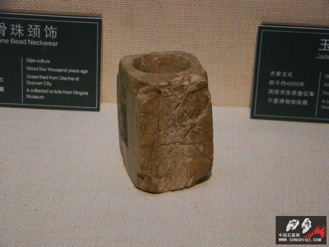 DSC05584.jpg