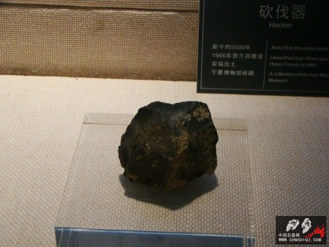 DSC05603.jpg