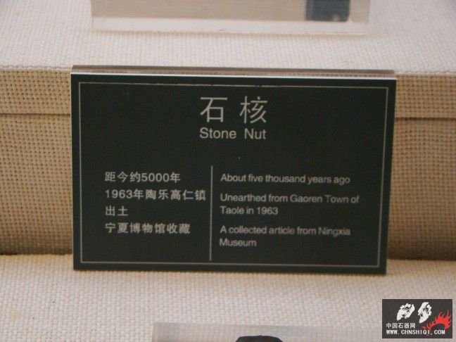 DSC05618.jpg