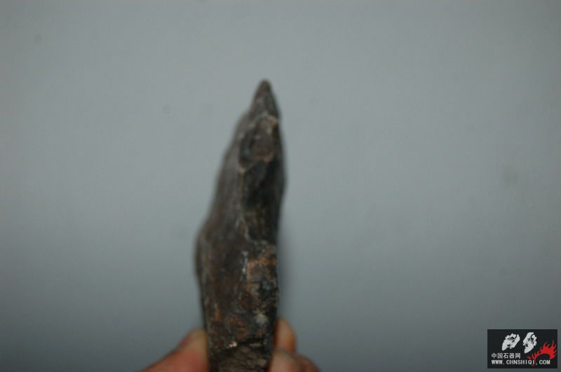 DSC_0617.JPG