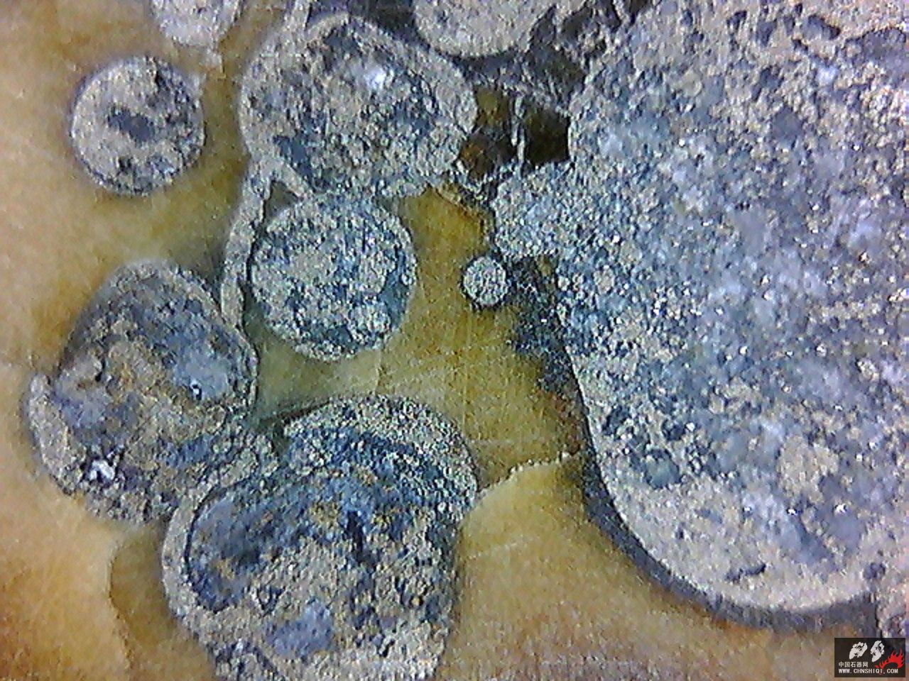 20101116003135.jpg