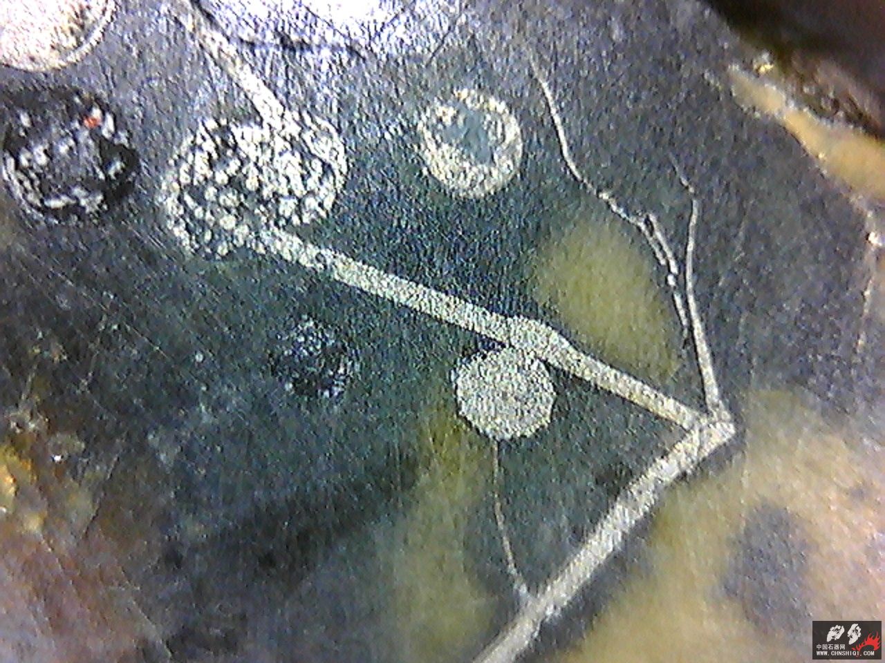 20101116002957.jpg