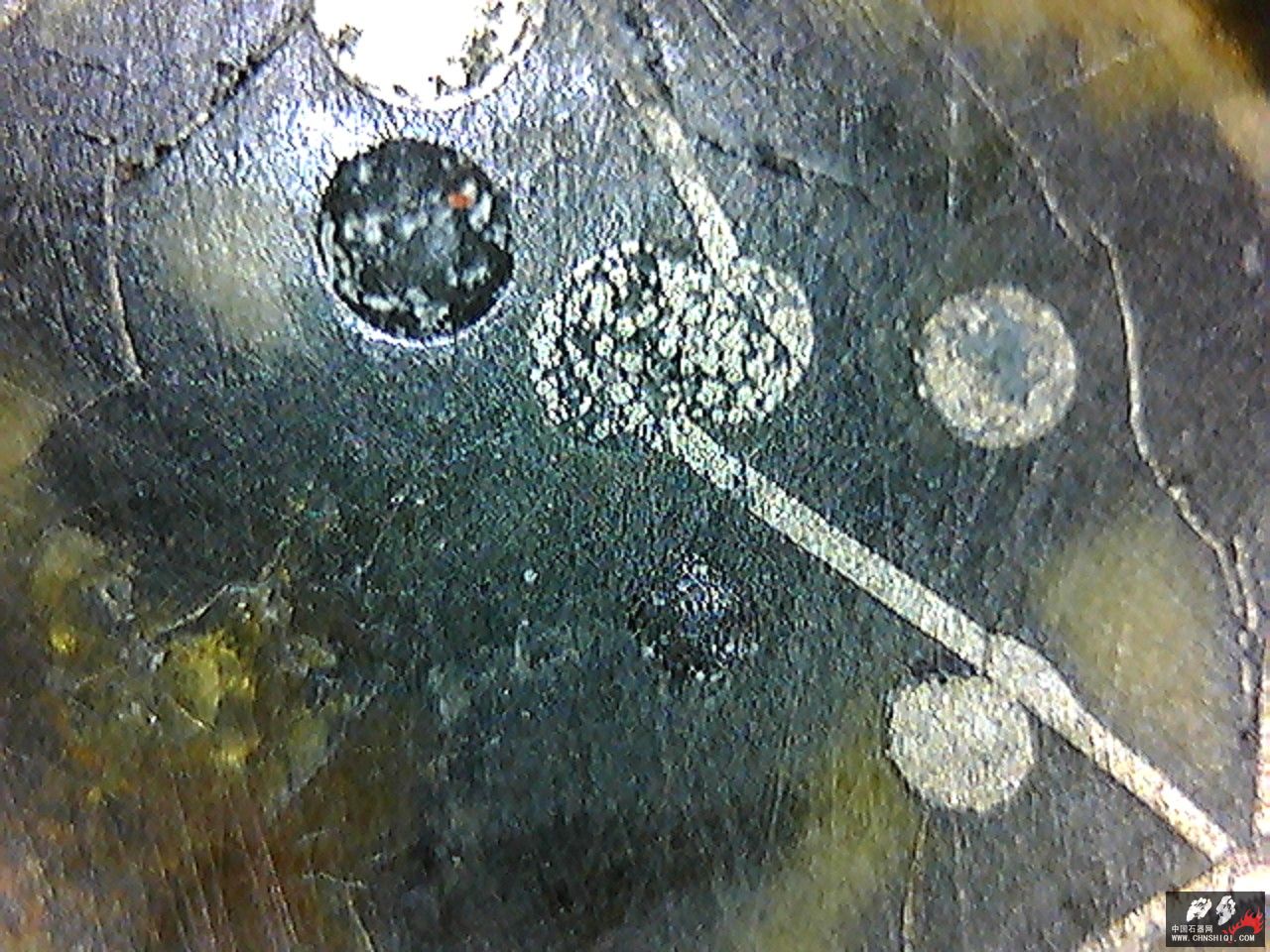 20101116003016.jpg