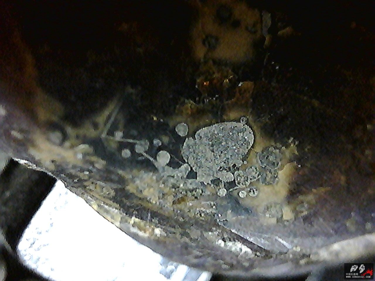 20101116003959.jpg