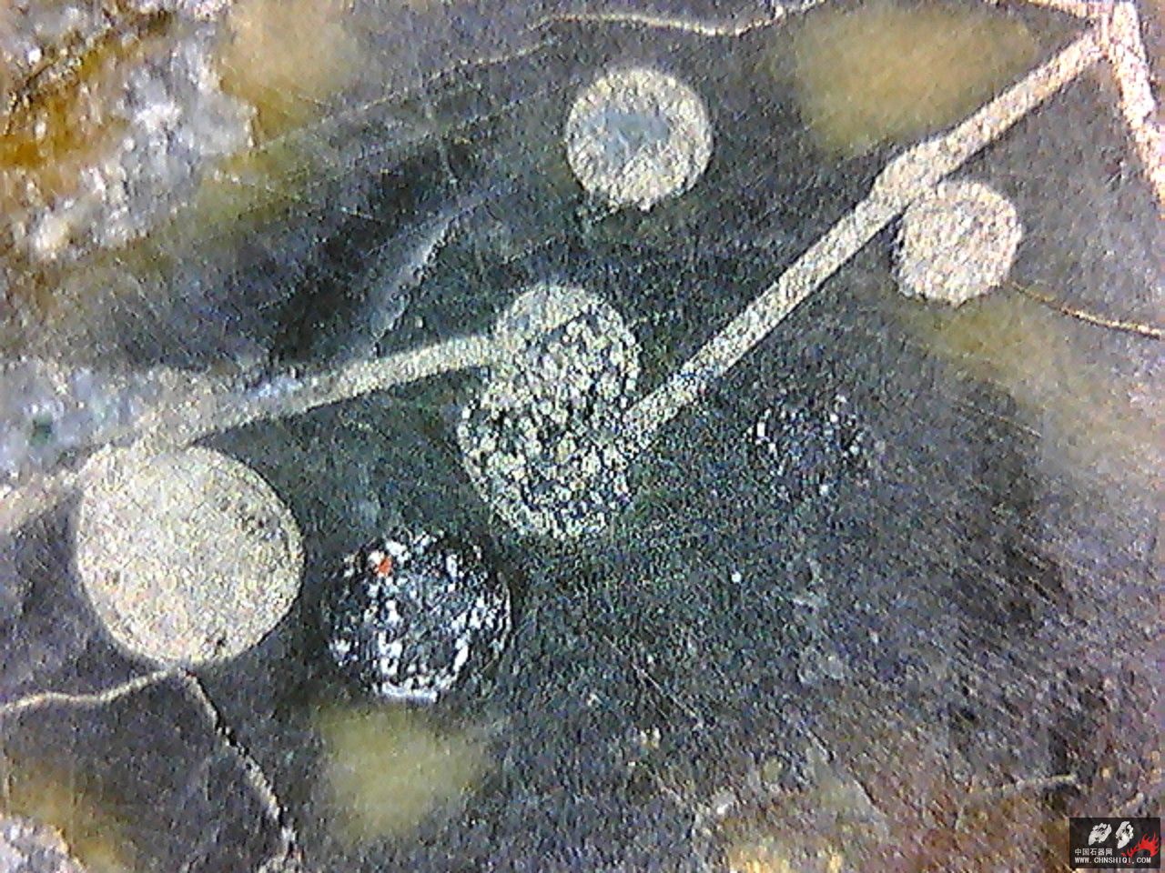 20101116003142.jpg