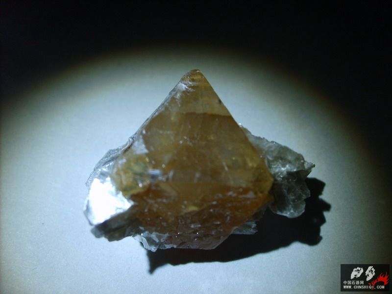 S5001673.jpg