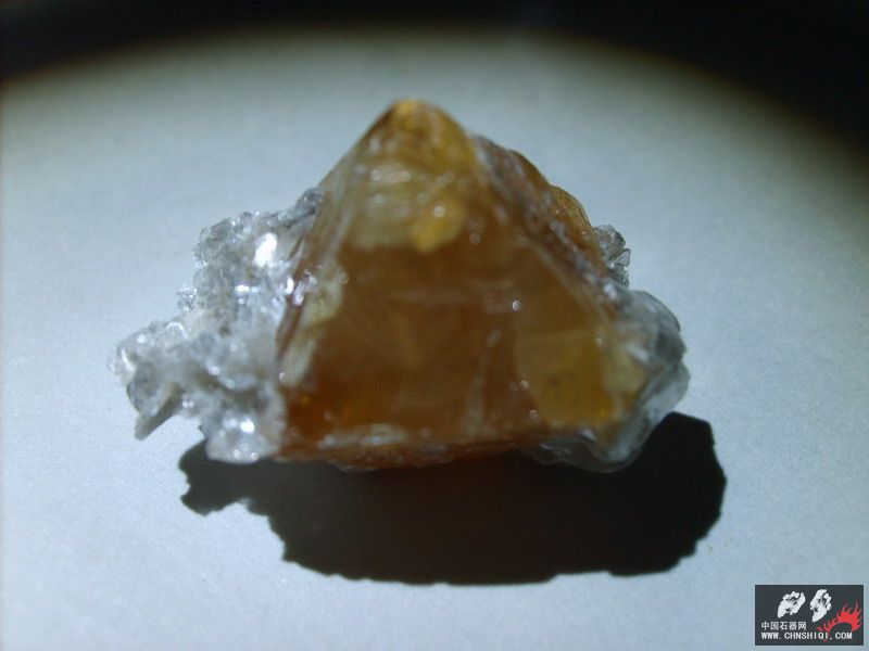 S5001669.jpg