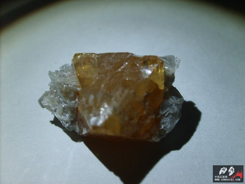 S5001679.jpg