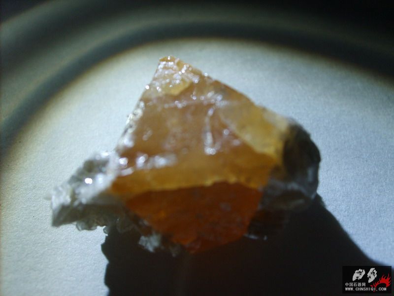 S5001680.jpg