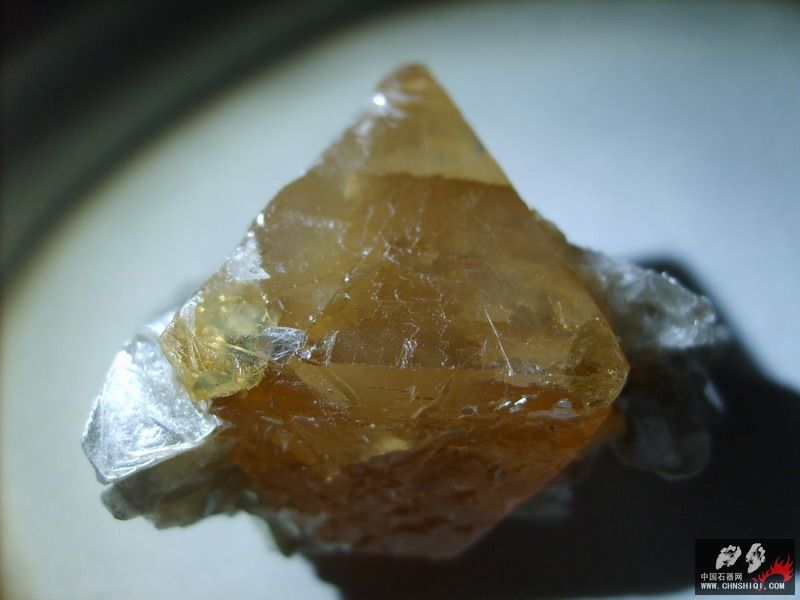 S5001682.jpg