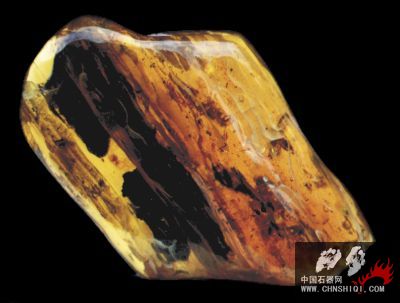 叶状包裹体.jpg