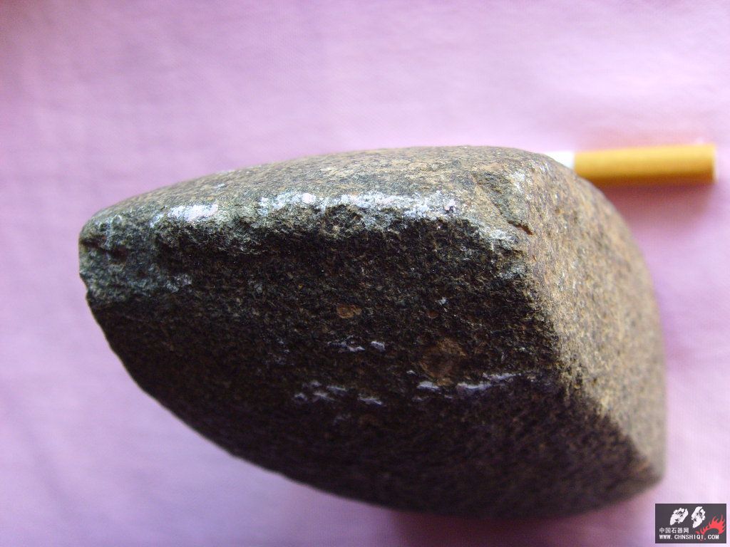 SSL24282.JPG