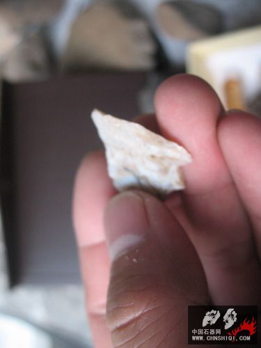 照片 195.jpg