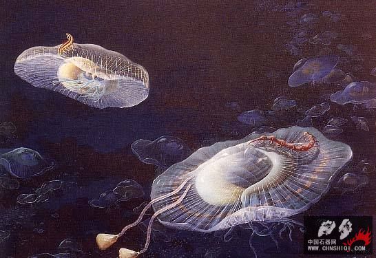 18803水母状生物---Eldonia 生态景观.jpg