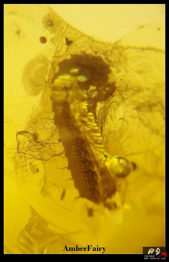 DSC05914_nEO_IMG.jpg