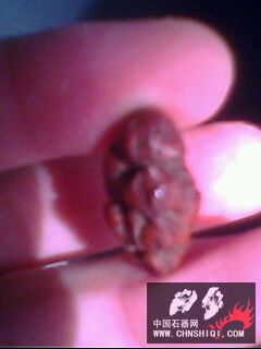 IMG0167A.jpg
