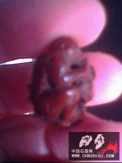 IMG0169A.jpg
