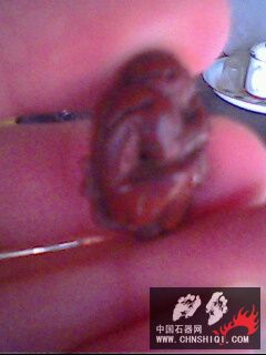 IMG0170A.jpg