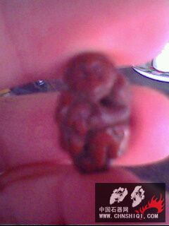 IMG0172A.jpg