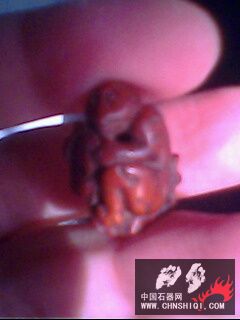 IMG0166A.jpg
