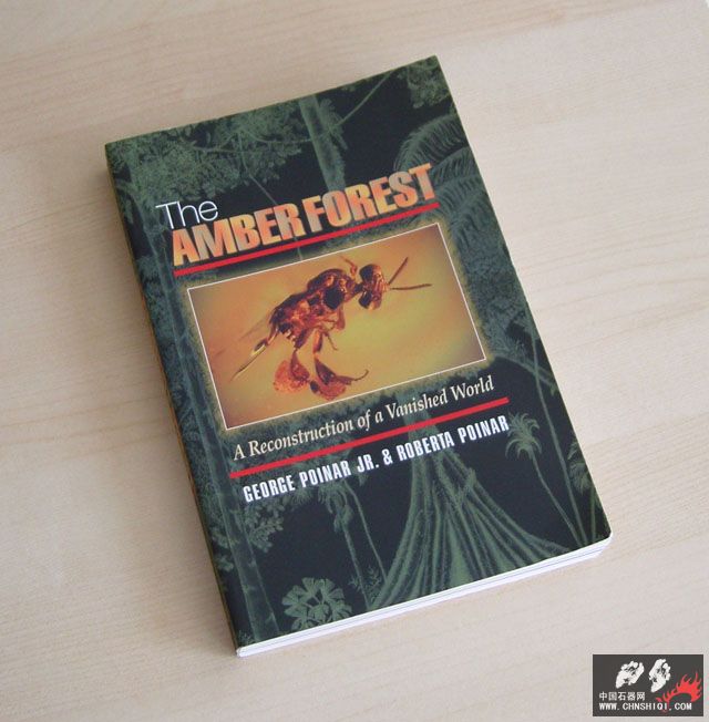 Amber Forest.jpg