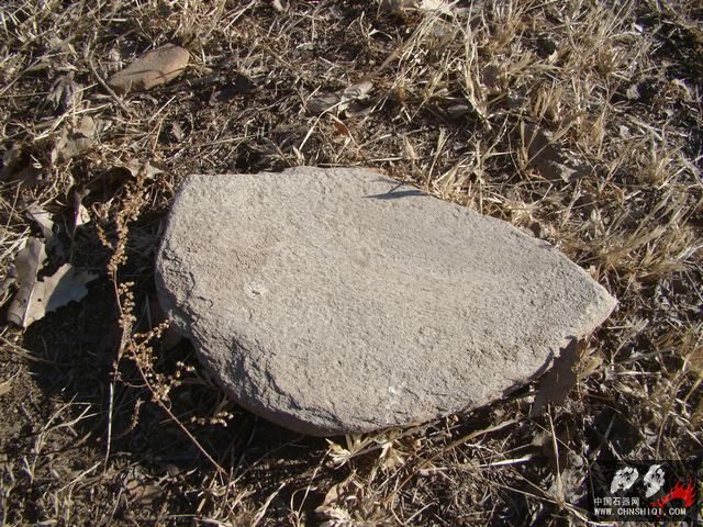 DSC06621.JPG