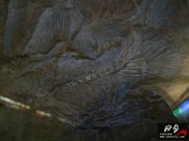 DSC06933.JPG