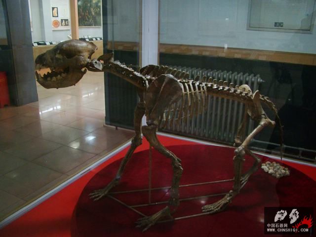 DSC06900.JPG