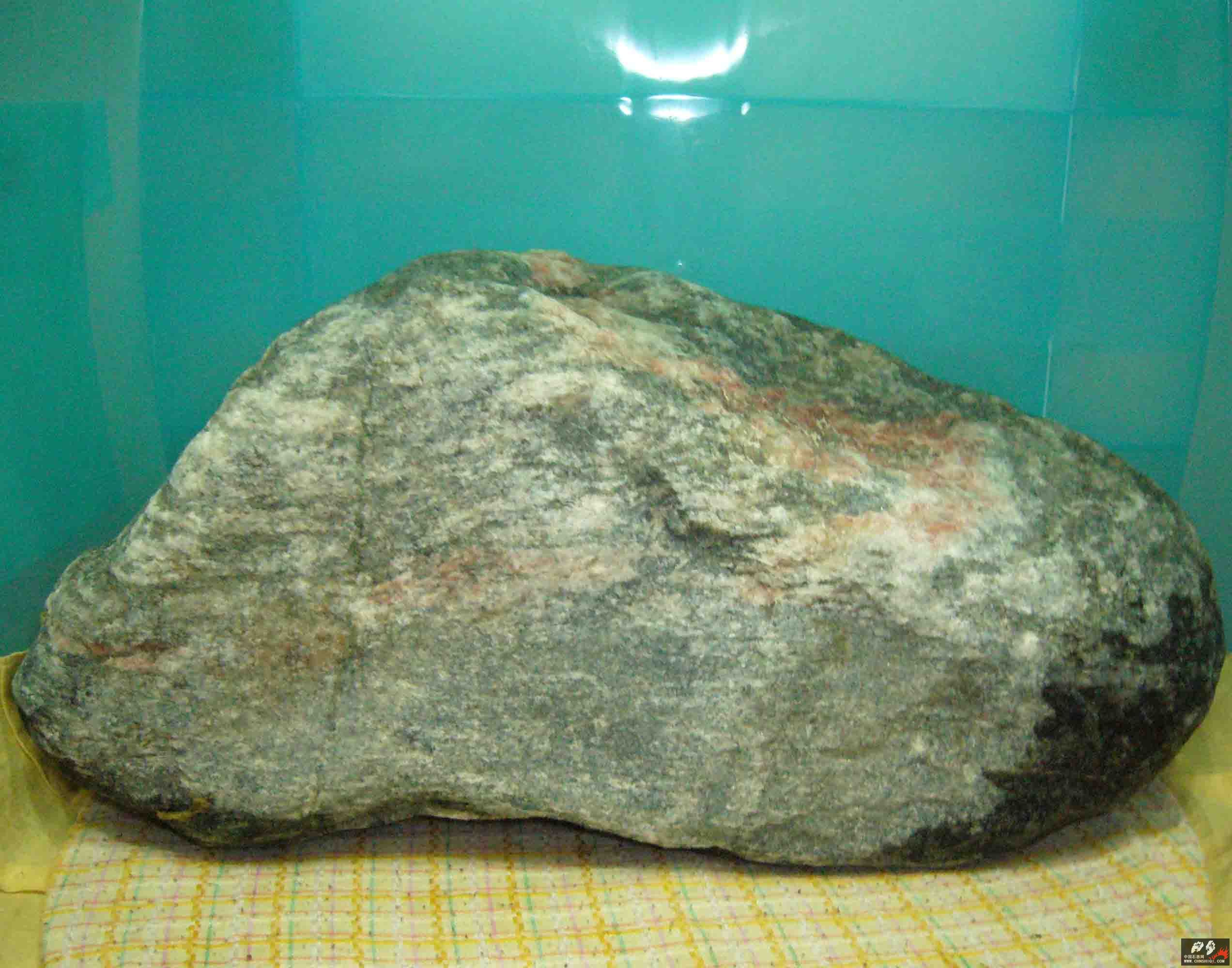 P1050351.jpg