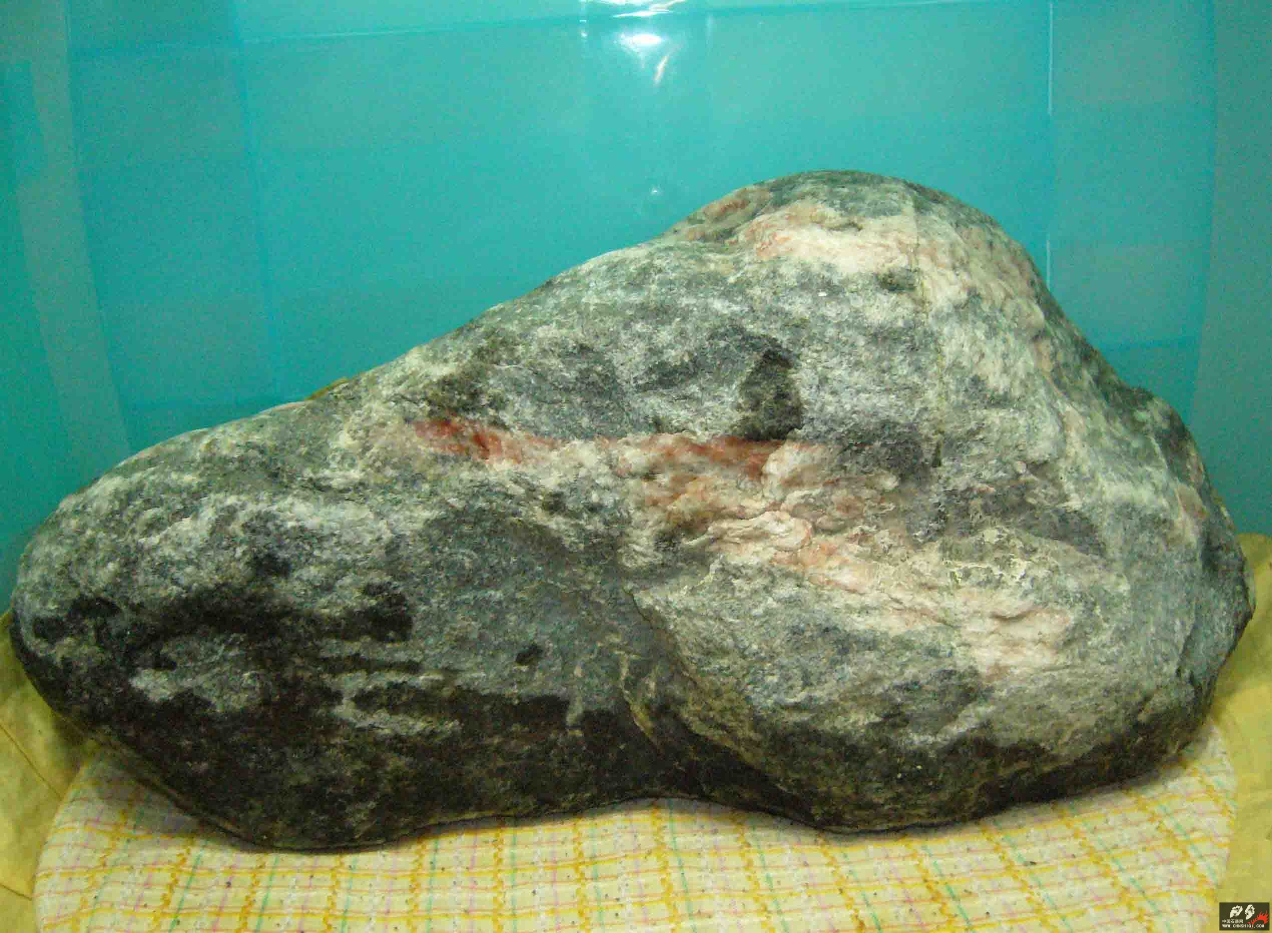 P1050350.jpg