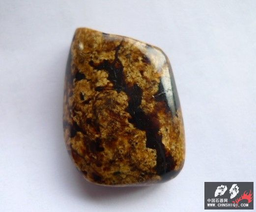 黑白花.jpg
