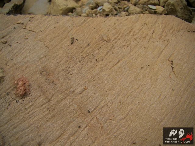 DSC08169.JPG
