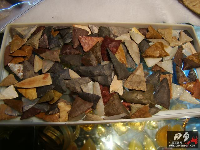 DSC07620.JPG