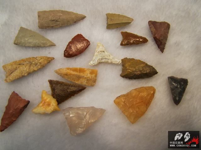 DSC07624.JPG