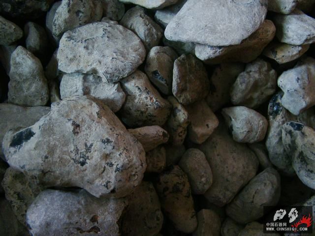 DSC07096.JPG