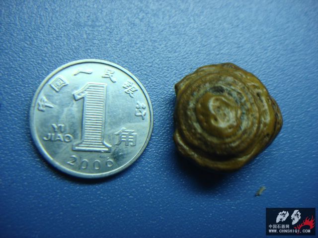 DSC08741.JPG