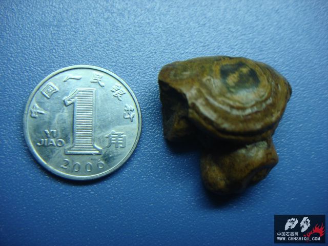 DSC08746.JPG