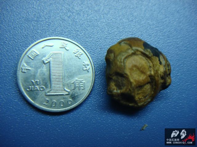 DSC08742.JPG
