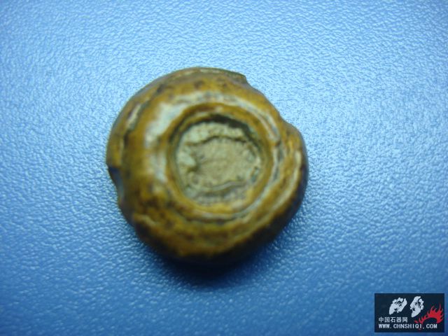 DSC08759.JPG