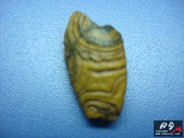 DSC08758.JPG