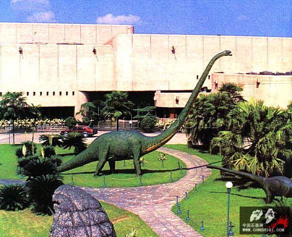 A2自贡恐龙博物馆.jpg