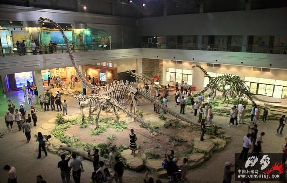 A4自贡恐龙博物馆.JPG