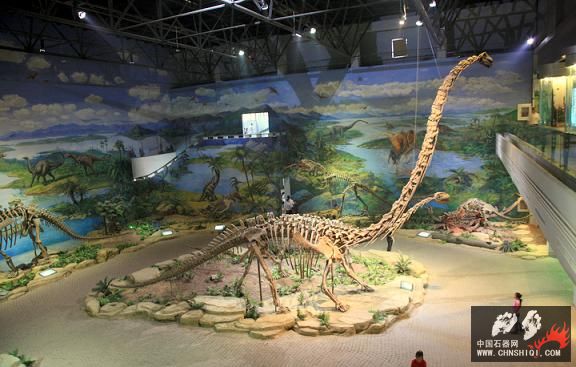 A6自贡恐龙博物馆.JPG