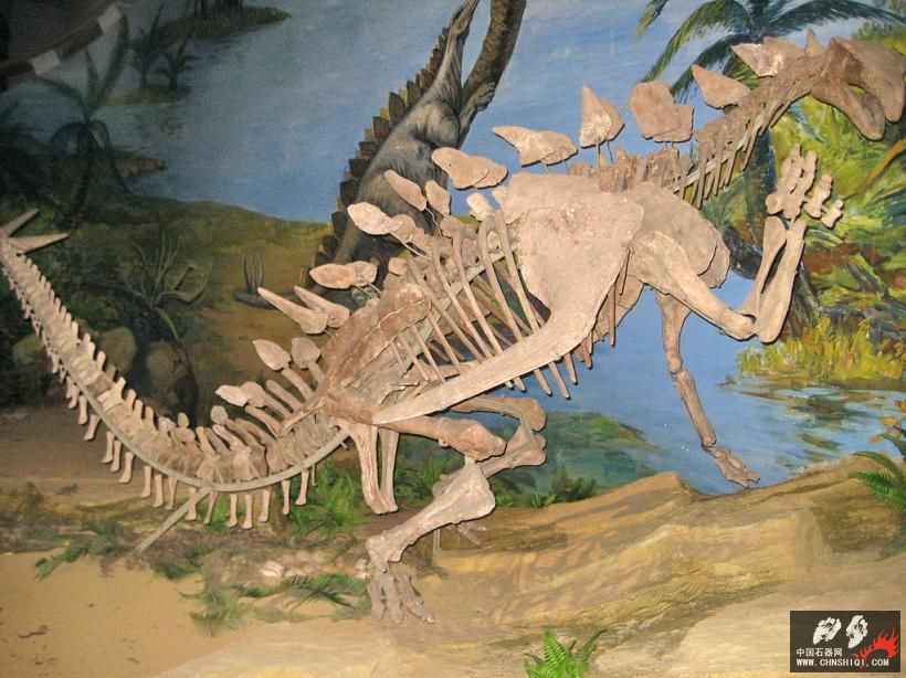A7自贡恐龙博物馆.JPG