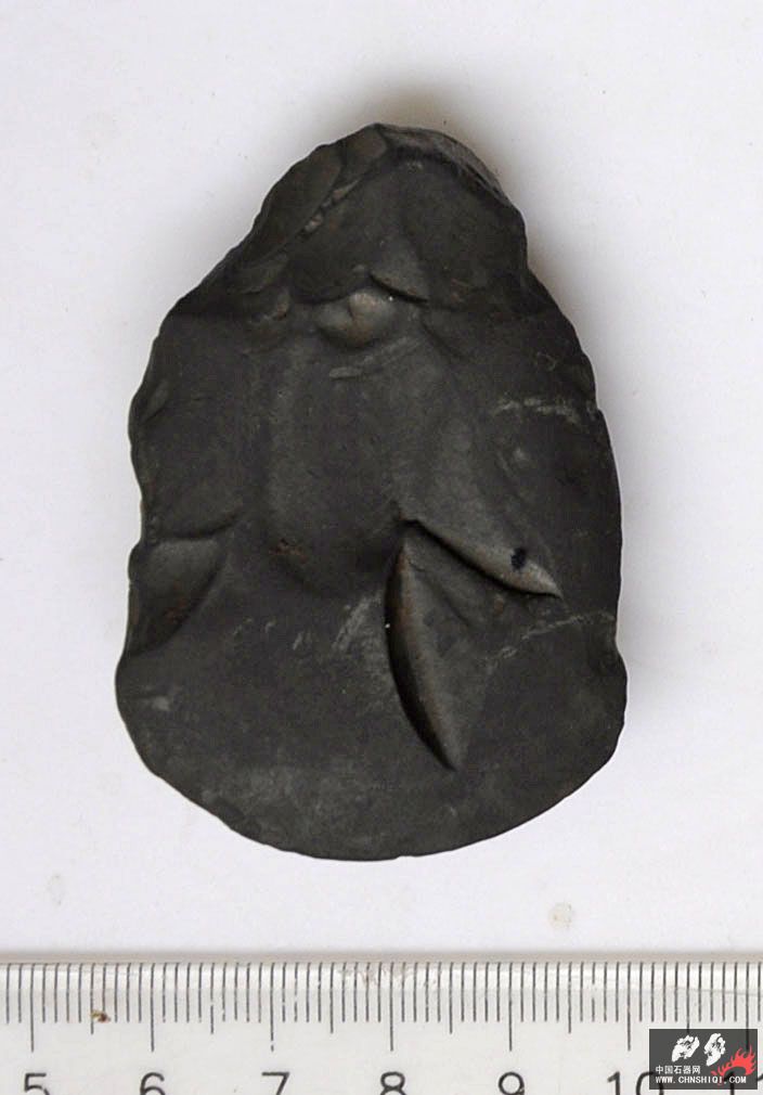 eDSC1263.jpg