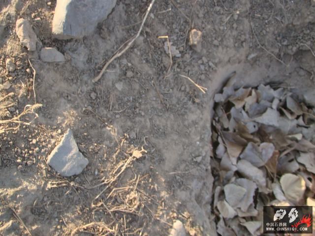 DSC06765.JPG